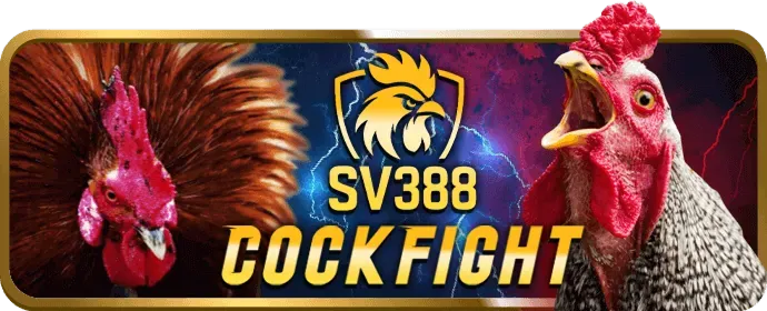 Kèo BDD Đá Gà 8888new